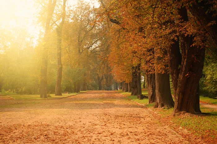 offerta_autunno2018