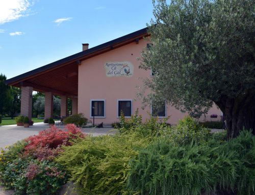 Agriturismo